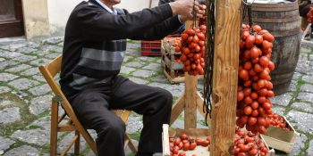 Piennolo Tomatoes