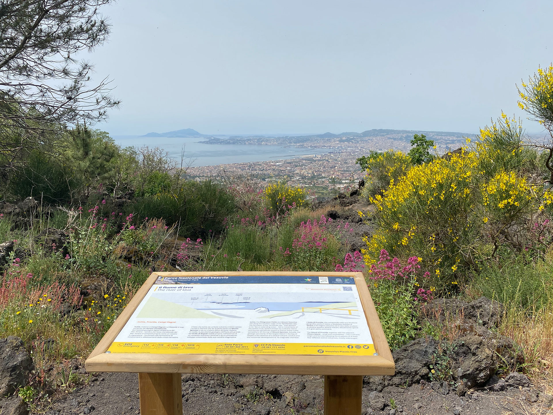 Sentiero 9 il Fiume di Lava | Parco Nazionale del Vesuvio