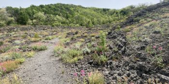 Sentiero 9 il Fiume di Lava | Parco Nazionale del Vesuvio