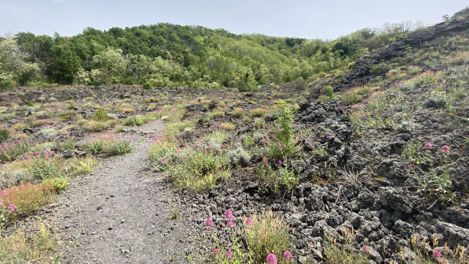 Sentiero 9 il Fiume di Lava | Parco Nazionale del Vesuvio