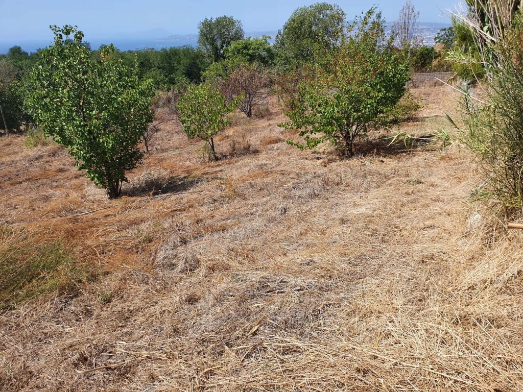 Giardino Vesuviano