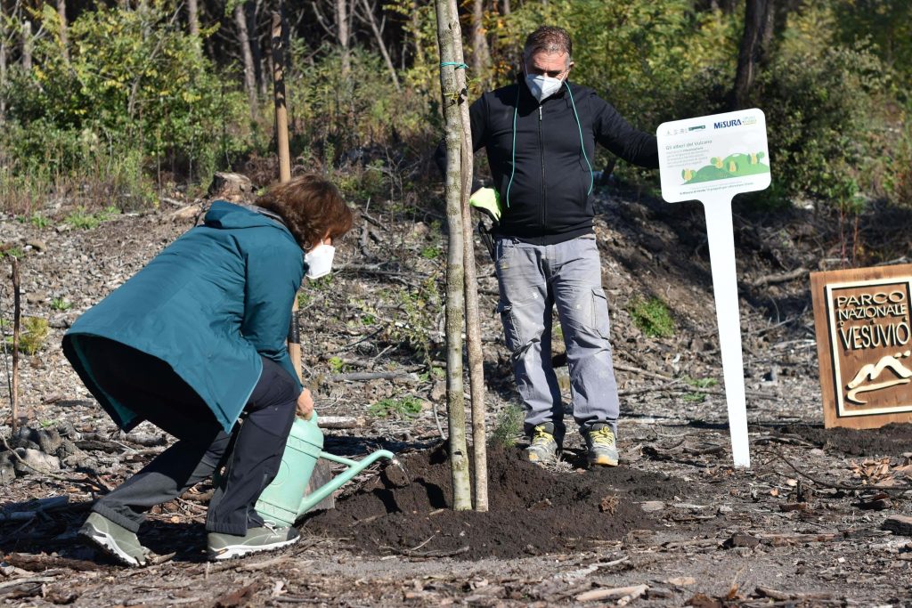 Festa dell'Albero: "Gli Alberi del Vulcano" | Parco nazionale del Vesuvio