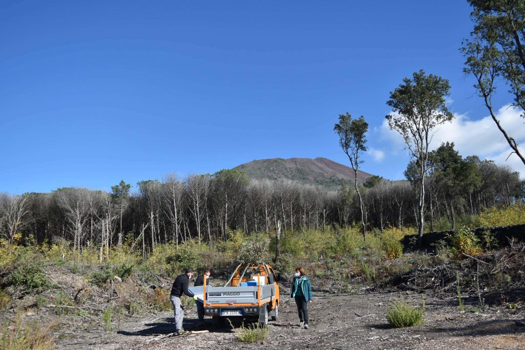 Festa dell'Albero: "Gli Alberi del Vulcano" | Parco nazionale del Vesuvio