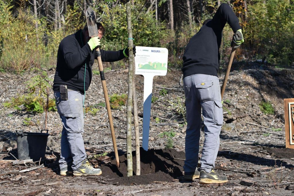 Festa dell'Albero: "Gli Alberi del Vulcano" | Parco nazionale del Vesuvio