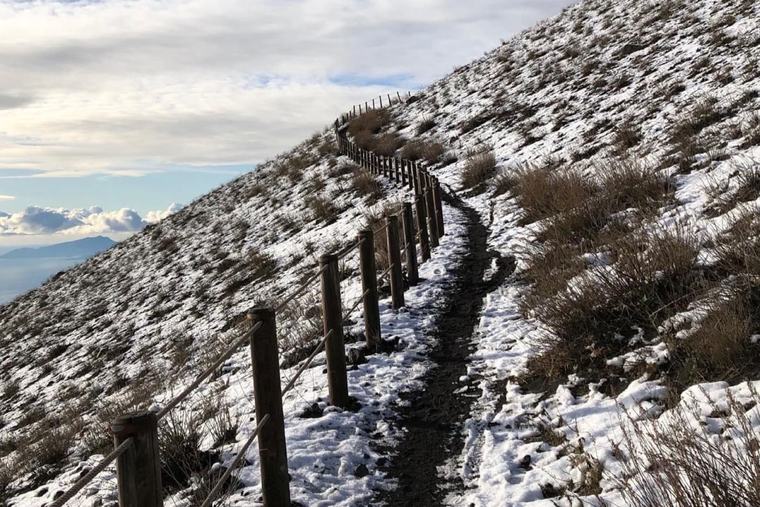 Ripartono le visite al Cratere, sentiero n.5 del Parco Nazionale del Vesuvio