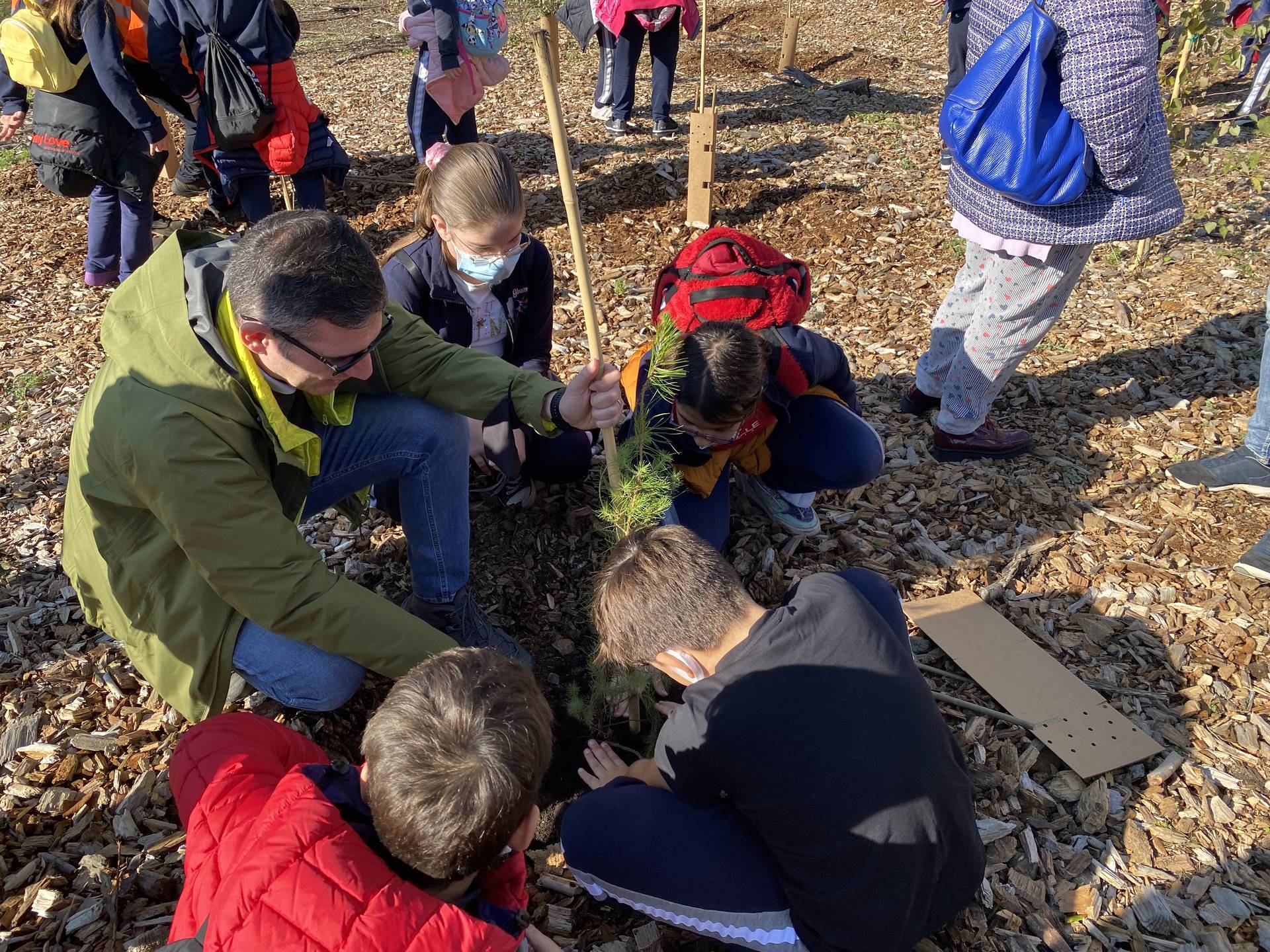 Festa dell Albero Parco Nazionale del Vesuvio